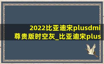 2022比亚迪宋plusdmi尊贵版时空灰_比亚迪宋plus dmi尊贵版